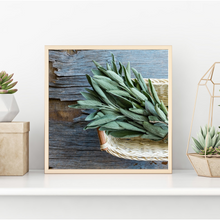 Load image into Gallery viewer, On the Rocks!  Refresh-able Himalayan Salt Crystals &amp; Dish Inspired by La Dolce Vita
